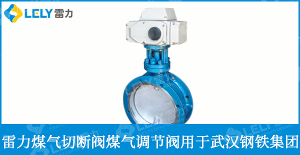 武漢鋼鐵集團(tuán)使用雷力煤氣切斷閥等閥門