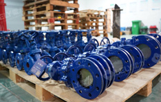 雷力車(chē)間倉(cāng)庫(kù)2 雷力車(chē)間倉(cāng)庫(kù)2