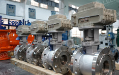 雷力車(chē)間倉(cāng)庫(kù)3 雷力車(chē)間倉(cāng)庫(kù)3