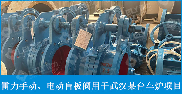 雷力手動盲板閥用于武漢某臺車爐項目！
